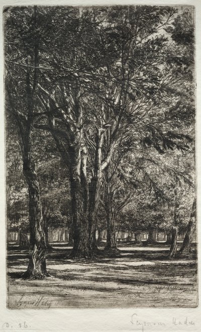 Kensington Gardens La Placa Mayor, 1860 de Francis Seymour Haden