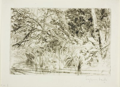 Boca de un arroyo, No. II de Francis Seymour Haden