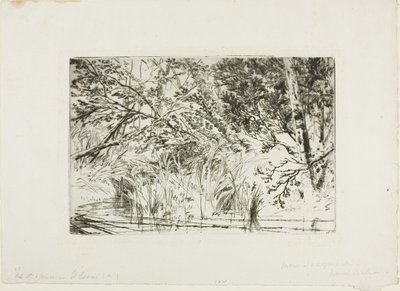 Boca de un arroyo, No. II de Francis Seymour Haden