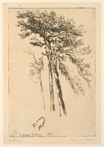 Pinos escoceses de Francis Seymour Haden