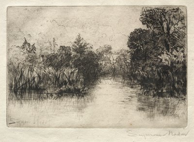 Shere Mill Pond (detalle) de Francis Seymour Haden