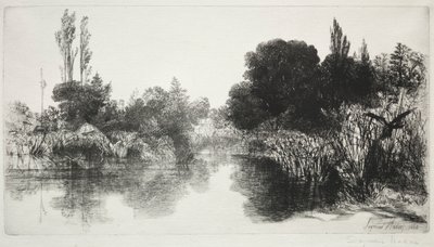 Shere Mill Pond, No. 11 (The Large Plate) de Francis Seymour Haden