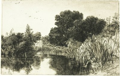 Estanque Shere Mill, No. II (gran lámina) de Francis Seymour Haden