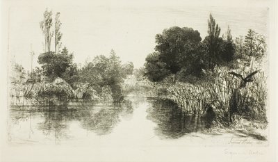 Estanque del molino de Shere, nº II (placa grande) de Francis Seymour Haden