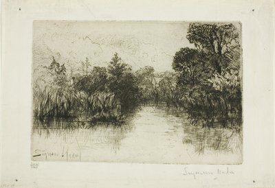 Estanque de Shere Mill, No. I (placa pequeña) de Francis Seymour Haden