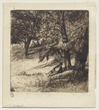 Sub Tegmine de Francis Seymour Haden
