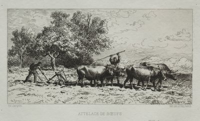 Equipo de bueyes de Francis Seymour Haden