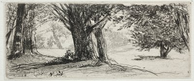 El campo de acebos de Francis Seymour Haden