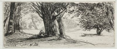 El Campo de Acebos de Francis Seymour Haden