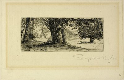 Los campos de acebo de Francis Seymour Haden