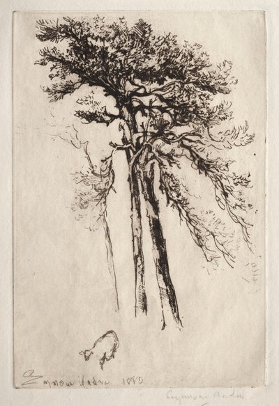 El último árbol de Francis Seymour Haden