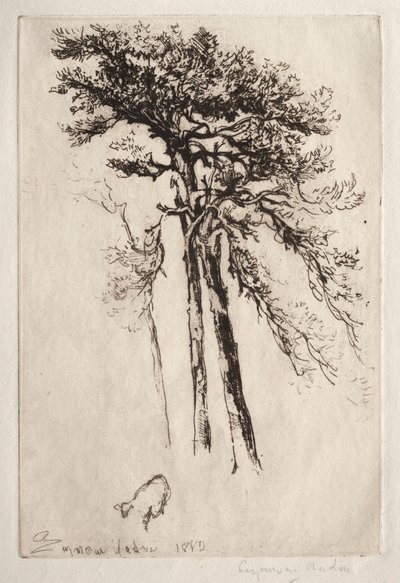 El último árbol, 1882 de Francis Seymour Haden