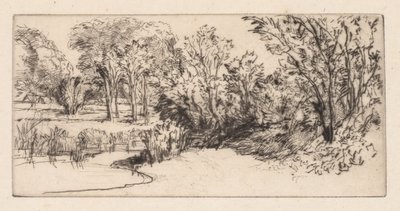 El pequeño Longparish de Francis Seymour Haden