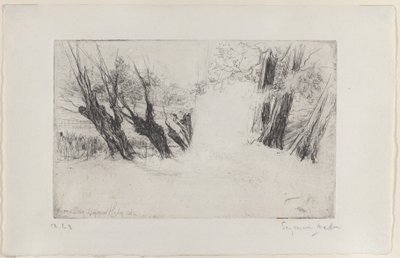El paseo de los amantes, No. I de Francis Seymour Haden