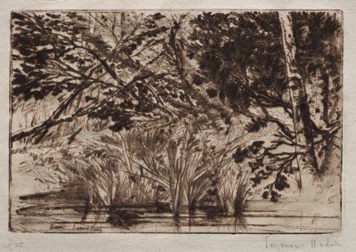 La boca de un arroyo (Segunda placa) de Francis Seymour Haden