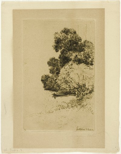 Arbustos de Twickenham de Francis Seymour Haden