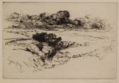 Colina del Molino de Viento No.2 de Francis Seymour Haden