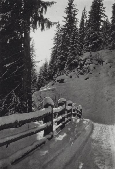 Los Alpes: Mañana de invierno, cerca de St Anton (foto en blanco y negro) de Francis Sydney Smythe