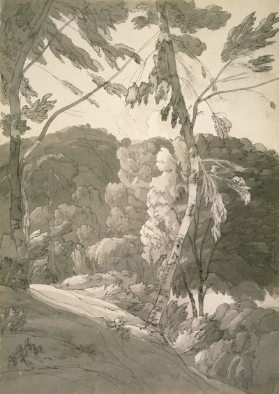 Paisaje boscoso No.1091 (Una escena en Indinowle) de Francis Towne