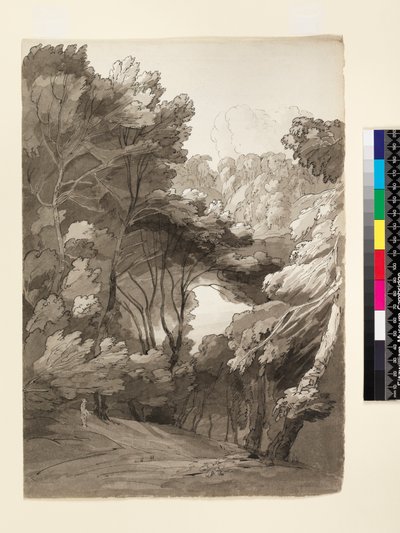 Un paisaje boscoso, 1788 de Francis Towne