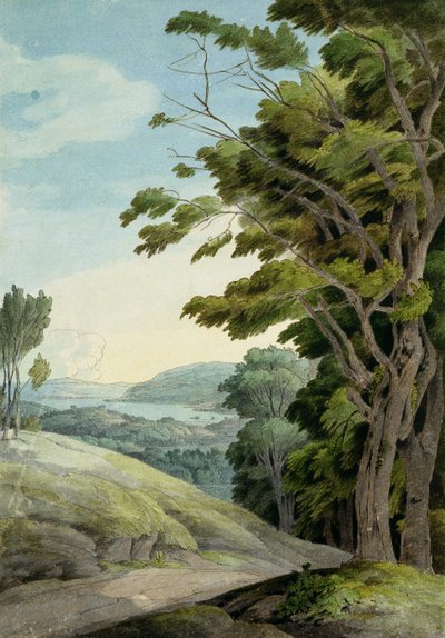 Vista desde Rydal Park de Francis Towne