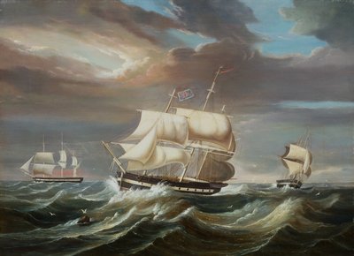Fragatas de muro negro en una brisa fuerte (petróleo) de Francis Tudgay