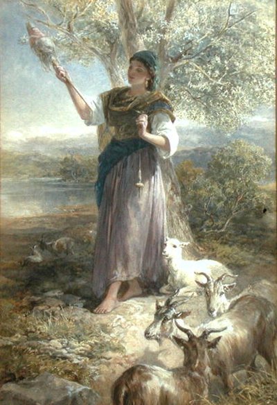Un cabrero español de Francis William Topham