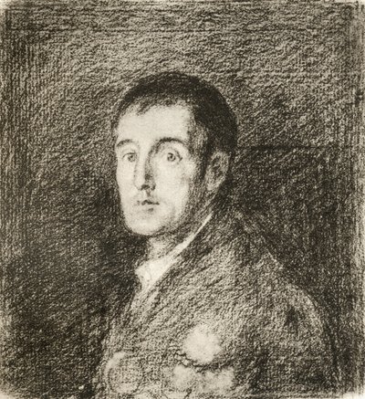 Arthur Wellesley de Francisco (after) Goya y Lucientes