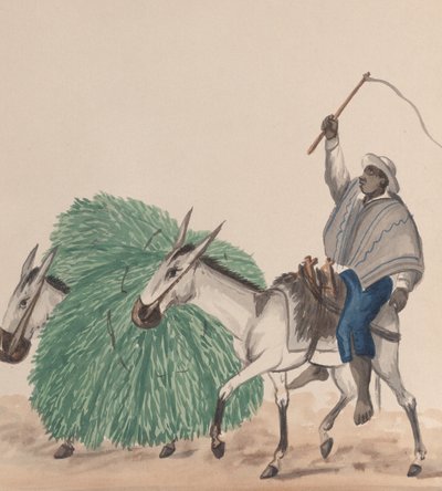 Un hombre montando una mula, con su látigo levantado, otra mula cargada de hierba al lado, ca. 1848 de Francisco