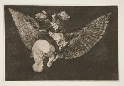Volante dispar (Flying Folly), pl. 5 de la serie Los proverbios de Francisco de Goya