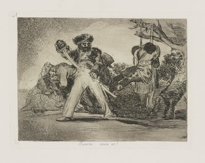 Fuerte cosa es! (That de Francisco de Goya