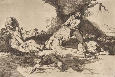 Placa 16 de Los desastres de la guerra: Ellos... de Francisco de Goya