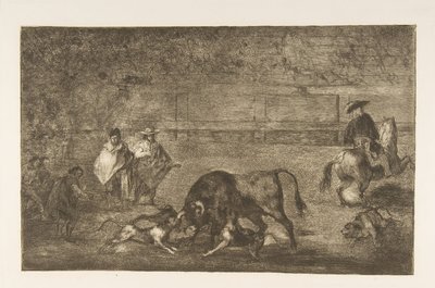 Placa C: los perros soltados sobre el toro, ca. 1816 de Francisco de Goya
