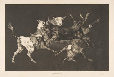 Placa D de los Disparates: Tontos o Pequeños Toros - locura, ca. 1816-23 publicado 1877 de Francisco de Goya