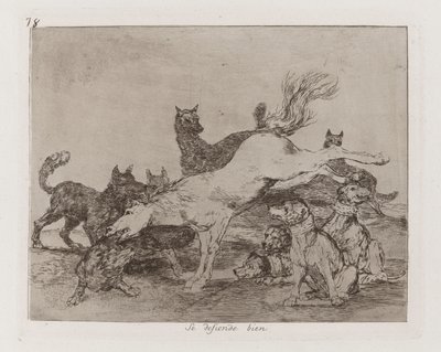 Se defiende bien (He Defends Himself Well), Plate 78 from Los desastres de la guerra (The Disasters of War) de Francisco de Goya