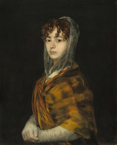Señora Sabasa García, c. 1806-1811 de Francisco de Goya