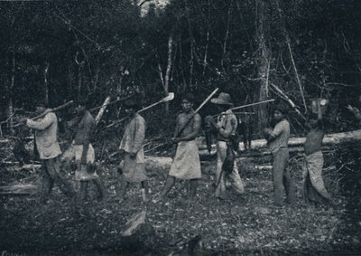 Indios Guaraníes, volviendo de una caza, 1895 de Francisco Henszler