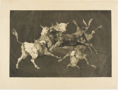 La locura del tonto, de Disparates de Francisco Jose de Goya y Lucientes