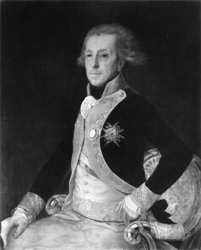 Retrato de El General Ricardos de Francisco Jose de Goya y Lucientes
