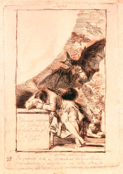 Dibujo preparatorio para el número 43 de la serie "Los caprichos" de Francisco de Goya