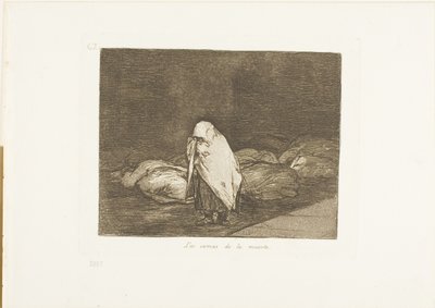 Las camas de la muerte, placa 62 de Los desastres de la guerra de Francisco Jose de Goya y Lucientes
