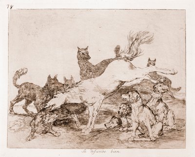Los desastres de la guerra: Se defiende bien (aguafuerte) de Francisco de Goya