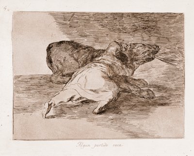 Los desastres de la guerra: Recoge algunos beneficios de Francisco de Goya