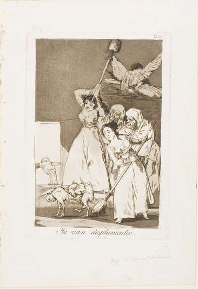 Ahí van desplumados (es decir, esquilados), placa 20 de Los Caprichos de Francisco Jose de Goya y Lucientes