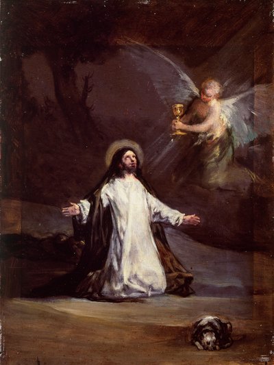 Imagen Desconocida de Francisco de Goya