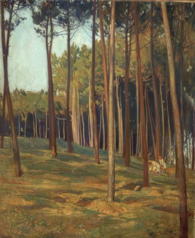 El pinar rojo de Francisco Llorens Diaz