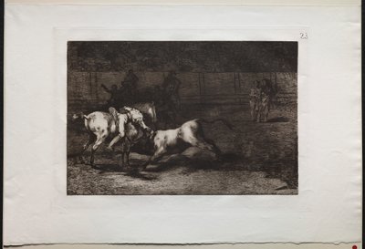 Corridas de toros: Mariano Ceballos, alias el Indio, mata al toro desde su caballo, 1876 de Francisco de Goya