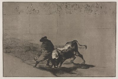 Corridas de toros: El muy hábil estudiante de Falces, envuelto en su capa, engaña al toro con el juego de su cuerpo de Francisco de Goya