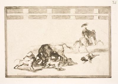 Suelten los perros sobre el toro de Francisco de Goya