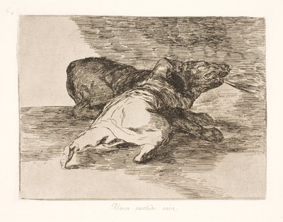 ¡Saca algo de ello! (40) de Francisco de Goya